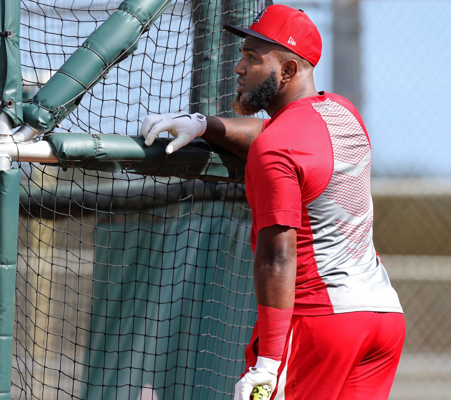 Cardinals spring training